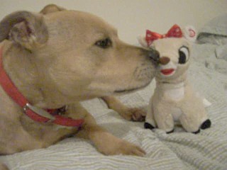 I Should Write A Book